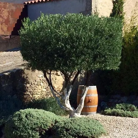 Bed & Breakfast Le Mas Nissan-lez-Enserune